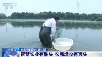 江蘇昆山：智慧農(nóng)業(yè)有甜頭 農(nóng)民增收有奔頭
