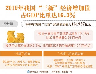 2019年我國“三新”經(jīng)濟(jì)增加值占GDP比重達(dá)16.3%